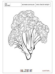 Brokoli boyama sayfaları 